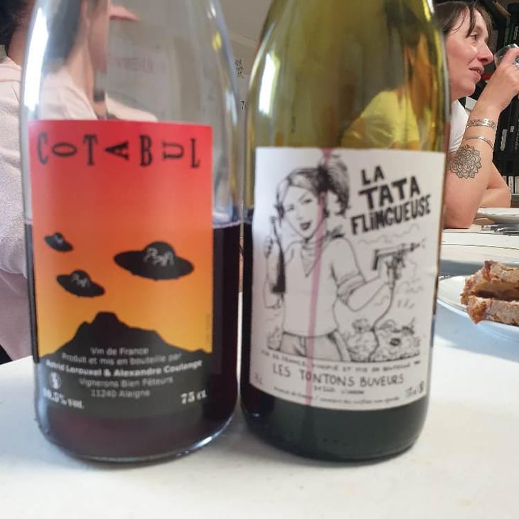 cotabul - Domaine Thuronis - Vigneron Bien Fêteur - Alexandre Coulange & Astrid Lerouxel -2020