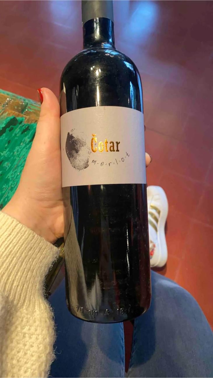 Merlot - Čotar - Branko & Vasja Čotar 