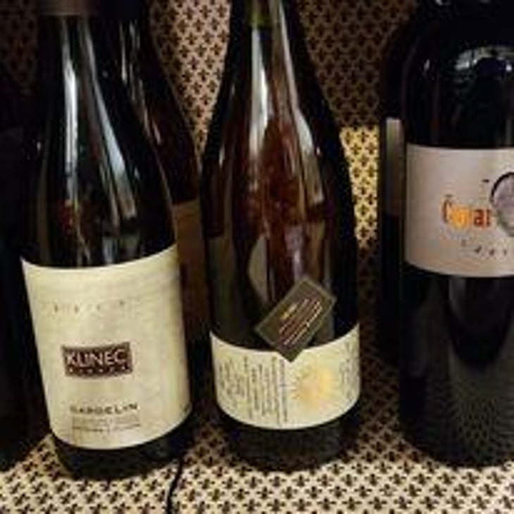 Sauvignon - Čotar - Branko & Vasja Čotar 