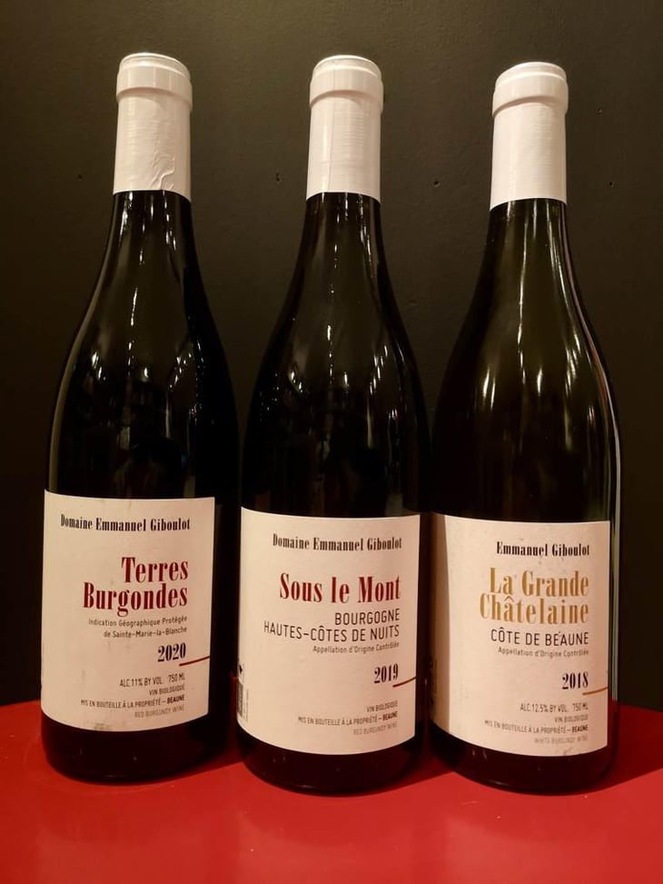 Côte-de-Beaune "La Grande Châtelaine" - Domaine Emmanuel Giboulot - Emmanuel Giboulot 