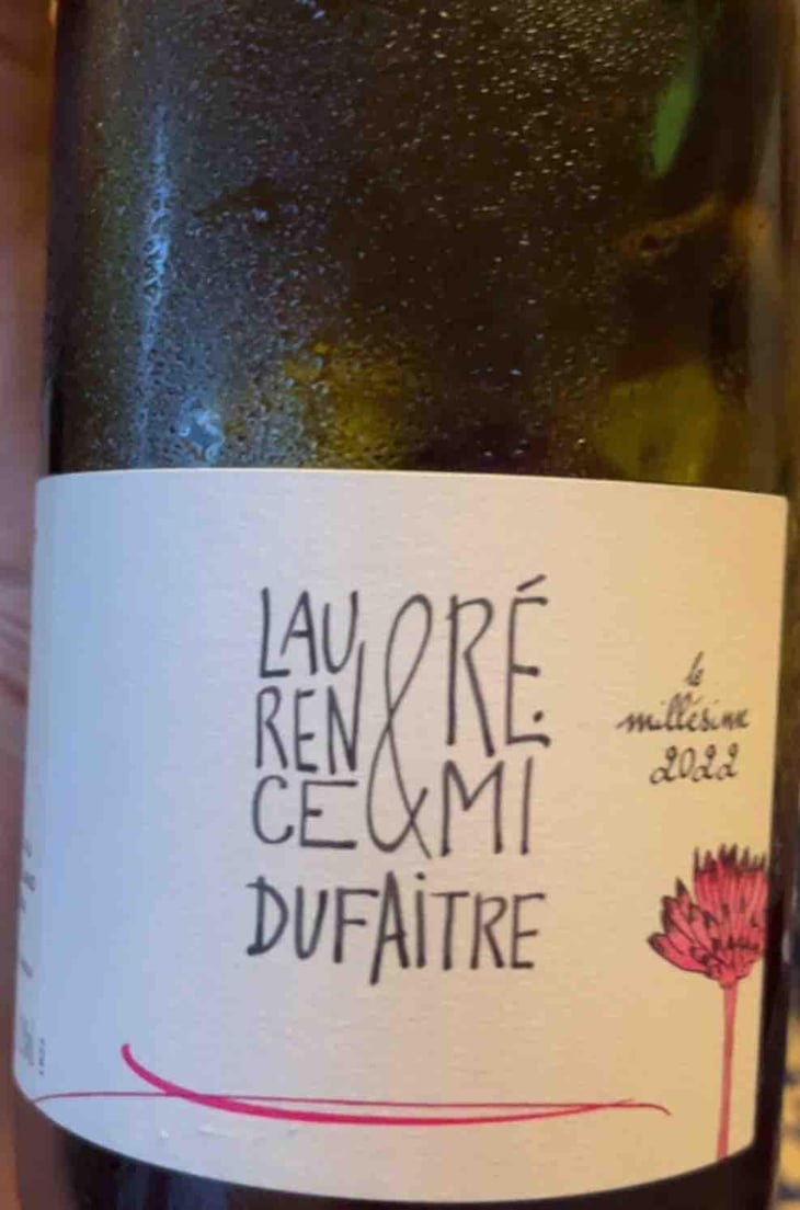 Côte de Brouilly - Domaine de Botheland - Rémi Dufaitre & Laurence Liatard 
