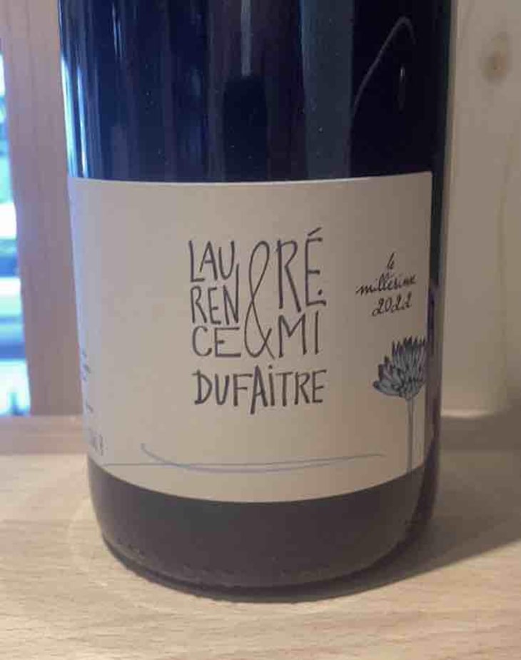 Côte de Brouilly - Domaine de Botheland - Rémi Dufaitre & Laurence Liatard 