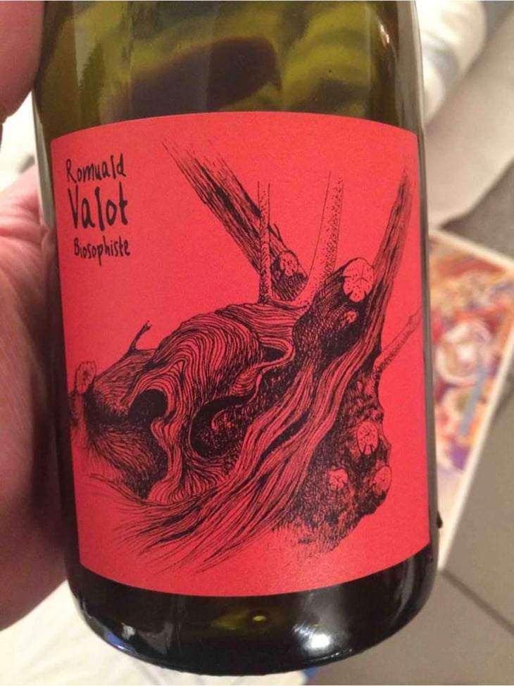 Côte De Brouilly - Les Sauvageons - Cosima and Romuald Valot 