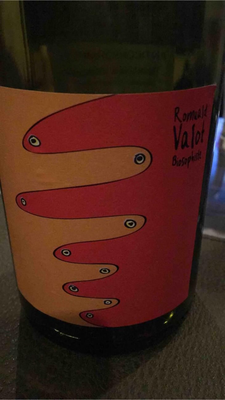 Côte De Brouilly - Les Sauvageons - Cosima and Romuald Valot 