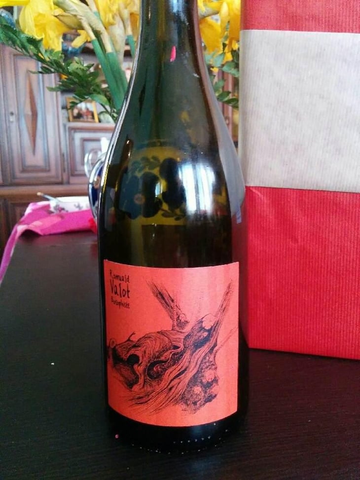 Côte De Brouilly - Les Sauvageons - Cosima and Romuald Valot 