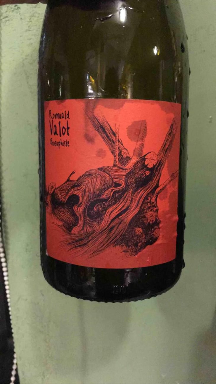 Côte De Brouilly - Les Sauvageons - Cosima and Romuald Valot 