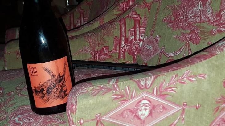 Côte De Brouilly - Les Sauvageons - Cosima and Romuald Valot 