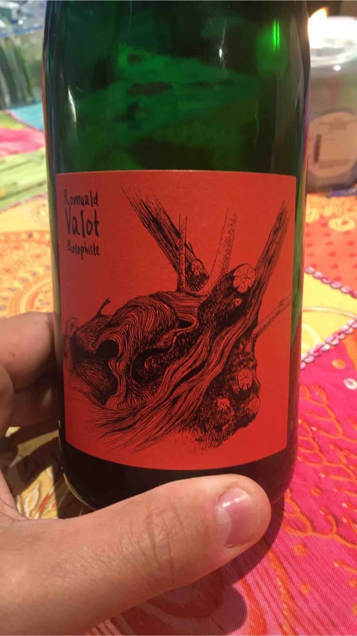 Côte De Brouilly - Les Sauvageons - Cosima and Romuald Valot 