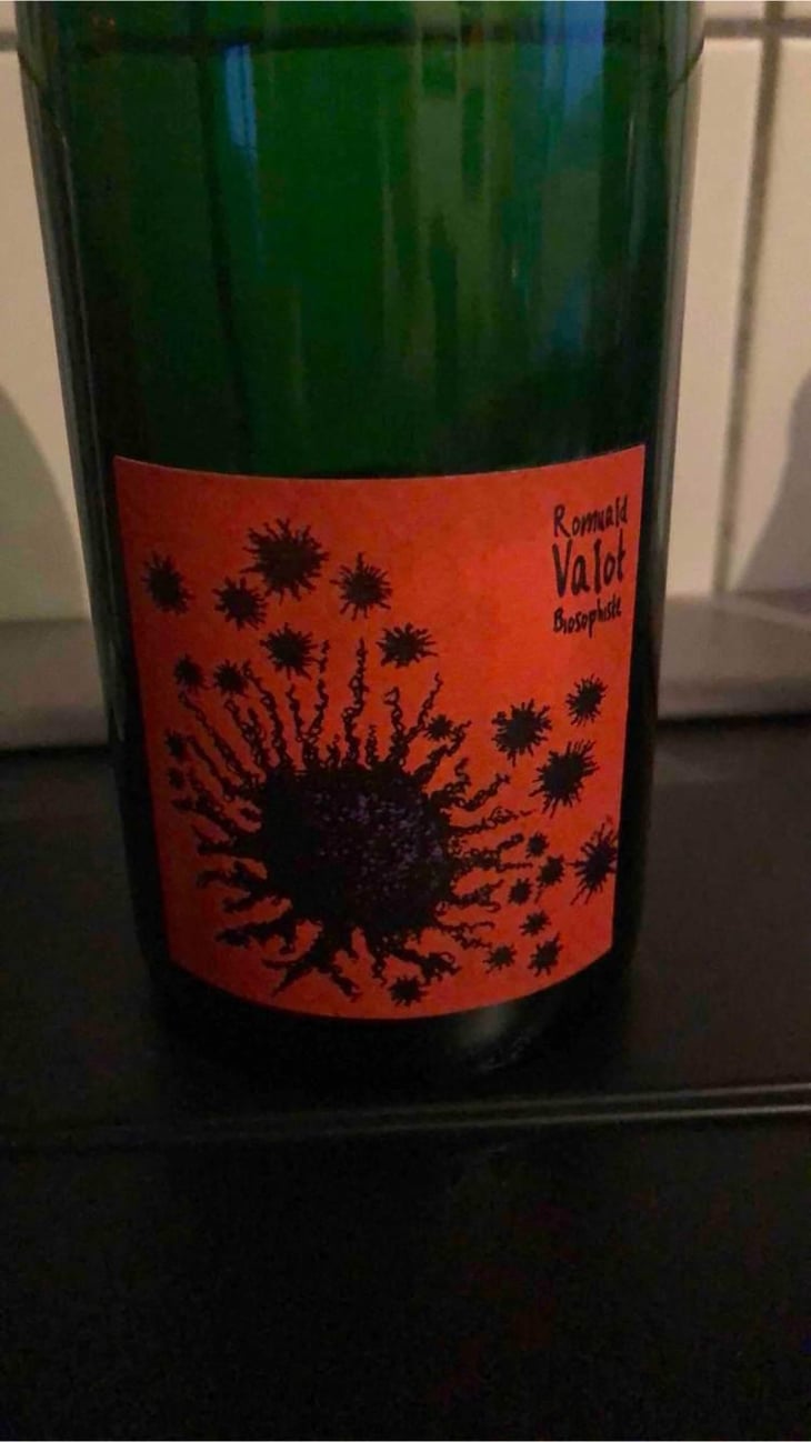 Côte De Brouilly - Les Sauvageons - Cosima and Romuald Valot 