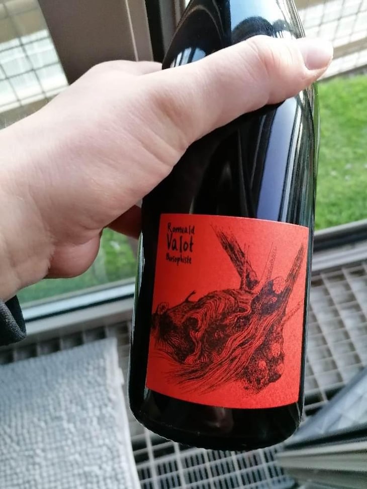 Côte De Brouilly - Les Sauvageons - Cosima and Romuald Valot 
