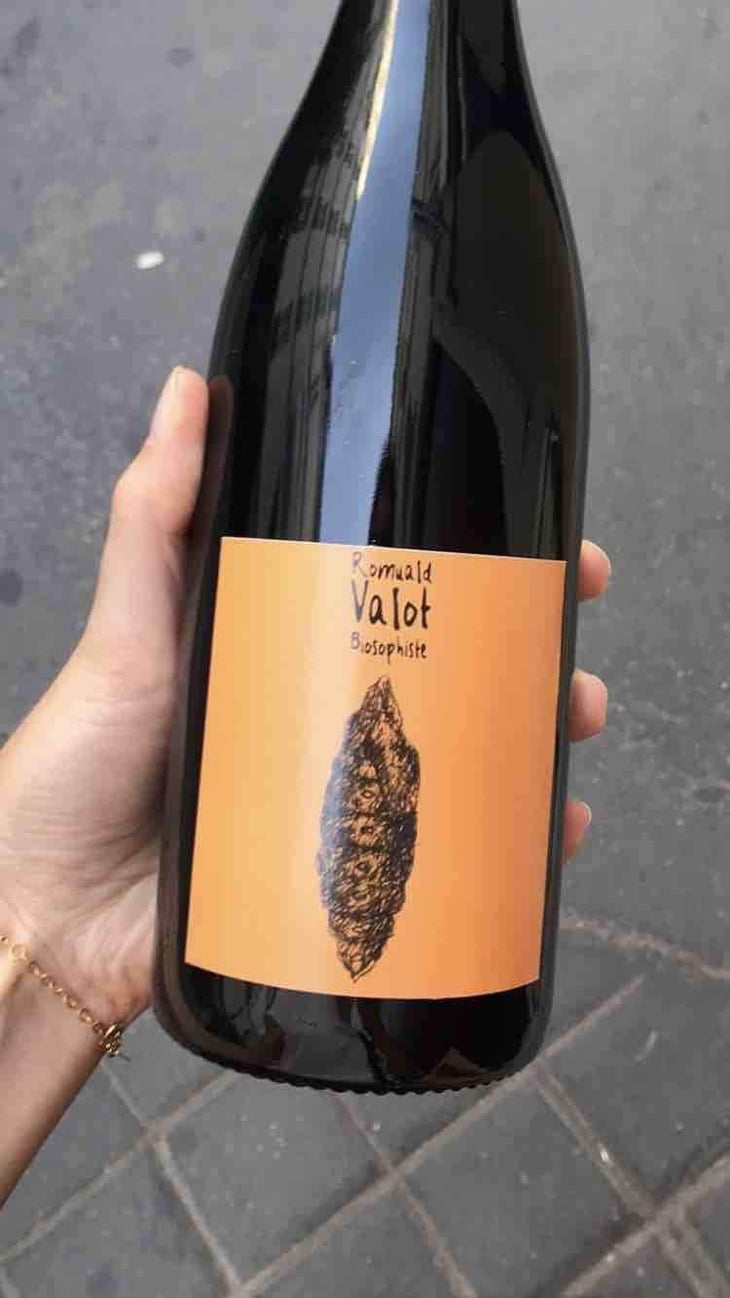 Côte De Brouilly - Les Sauvageons - Cosima and Romuald Valot 