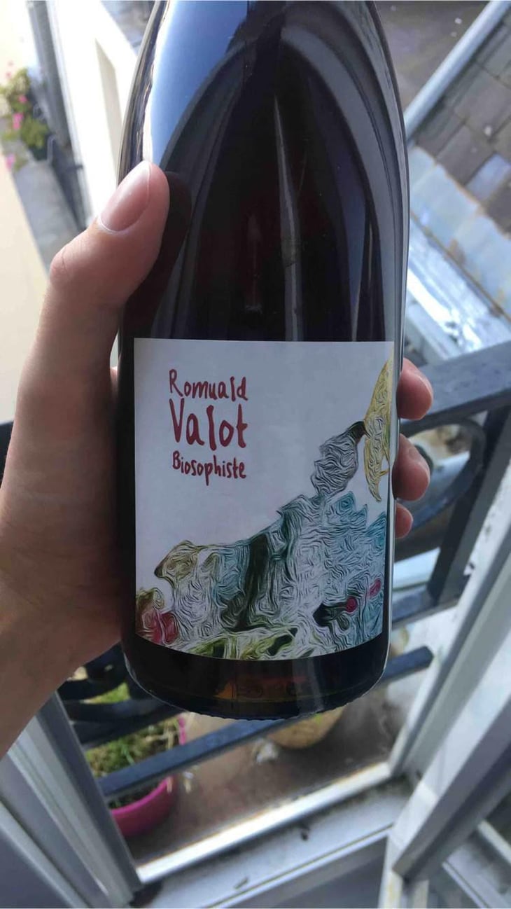 Côte De Brouilly - Les Sauvageons - Cosima and Romuald Valot 