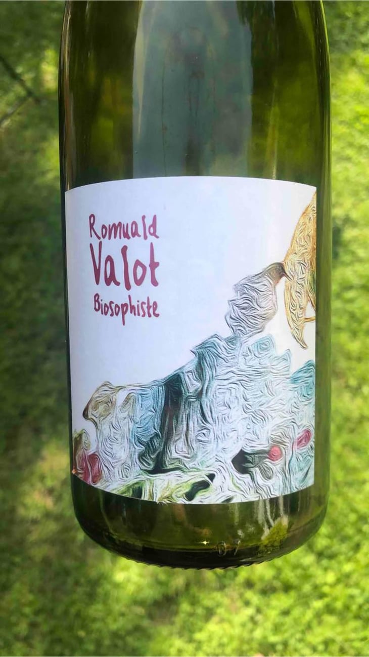 Côte De Brouilly - Les Sauvageons - Cosima and Romuald Valot 