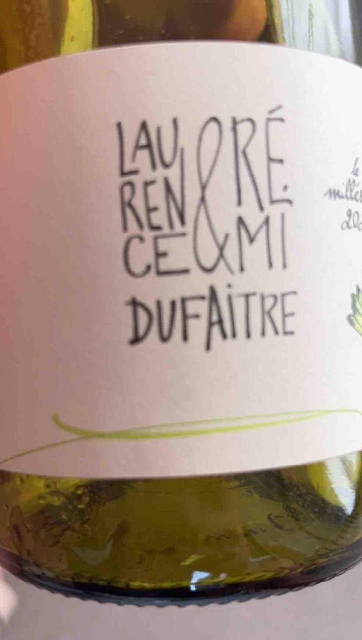 Côte de Brouilly - Domaine de Botheland - Rémi Dufaitre & Laurence Liatard 