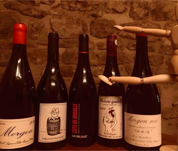 Côte de Brouilly - Les Marcellins - Christophe Pacalet 