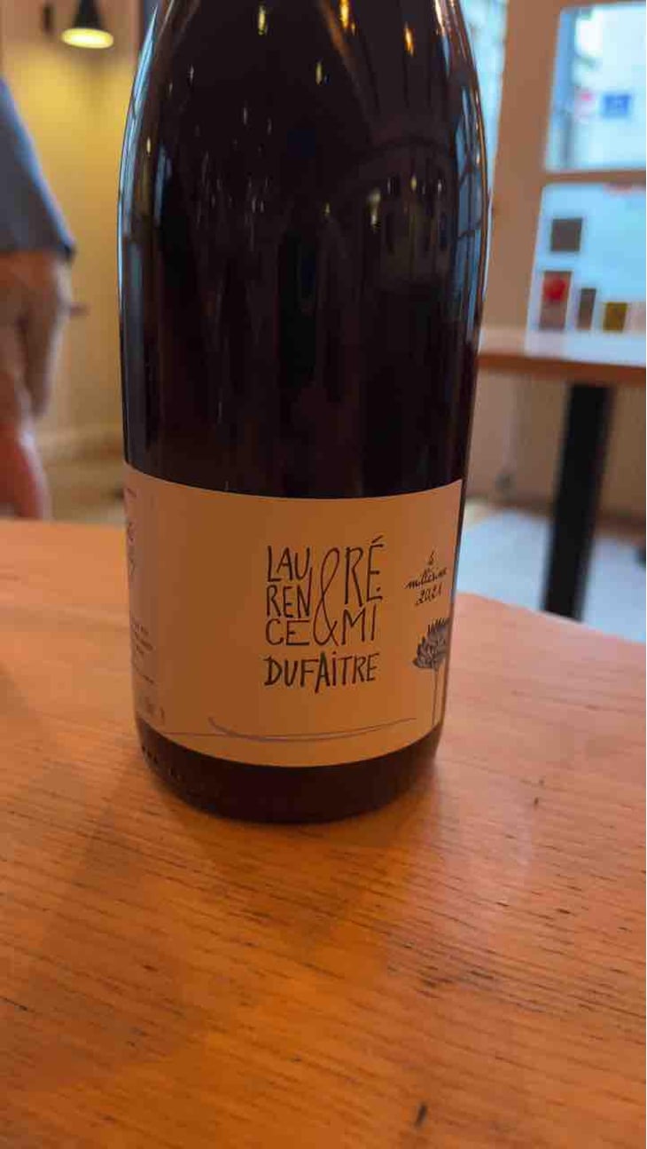 Côte de Brouilly - Domaine de Botheland - Rémi Dufaitre & Laurence Liatard 