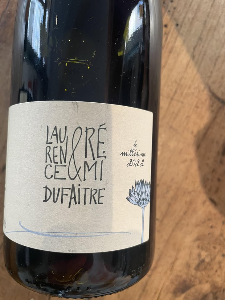 Côte de Brouilly - Domaine de Botheland - Rémi Dufaitre & Laurence Liatard 