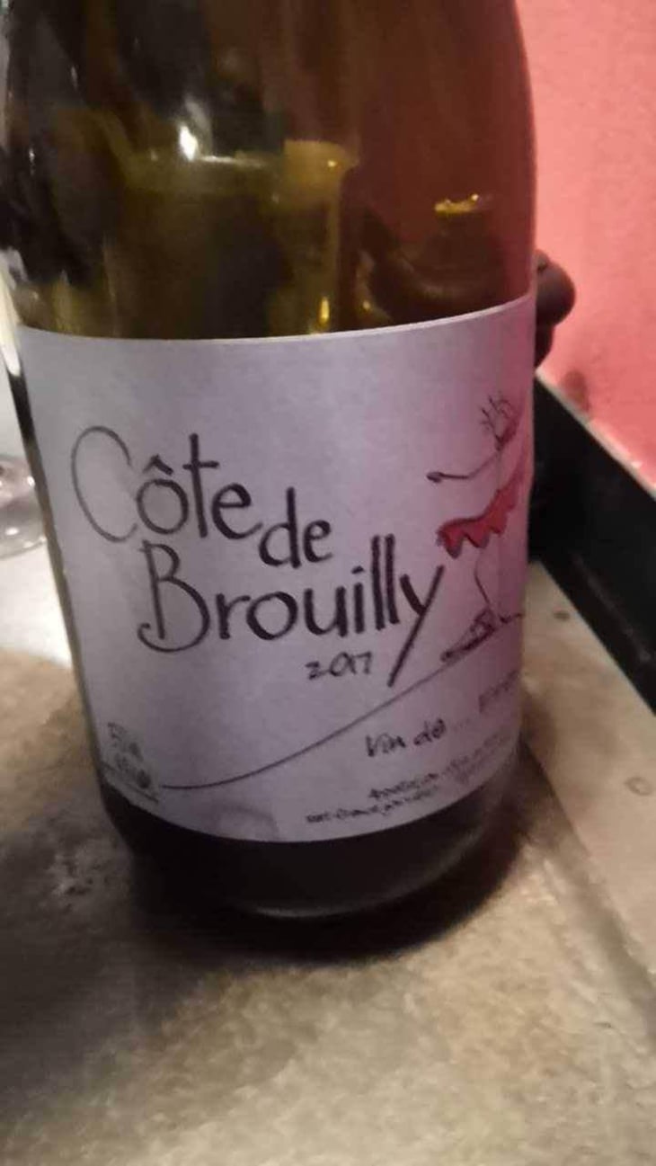 Côte de Brouilly - France Gonzalvez - Beaujolais (CLOSED) - France Gonzalvez 