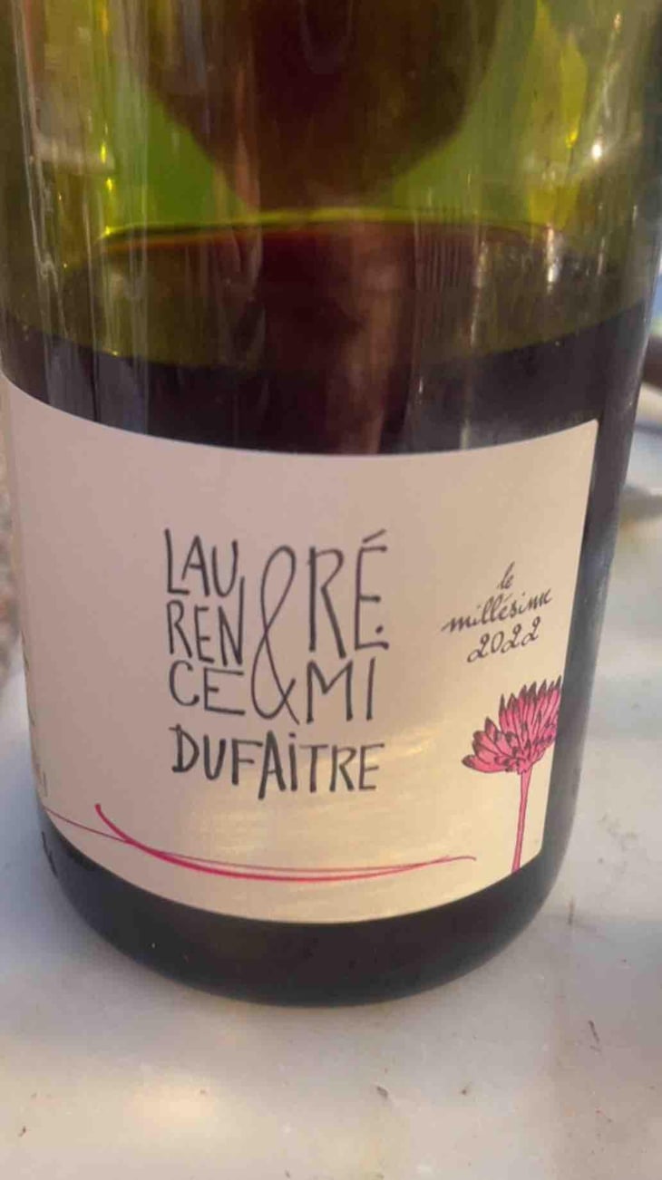 Côte de Brouilly - Domaine de Botheland - Rémi Dufaitre & Laurence Liatard 