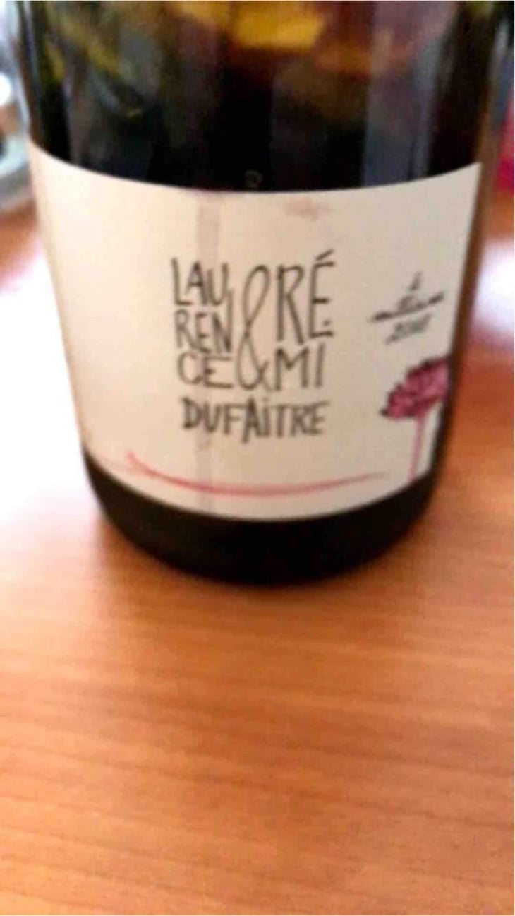 Côte de Brouilly - Domaine de Botheland - Rémi Dufaitre & Laurence Liatard 
