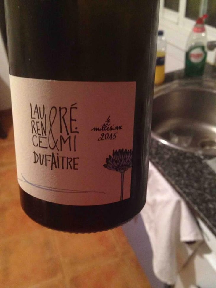 Côte de Brouilly - Domaine de Botheland - Rémi Dufaitre & Laurence Liatard 