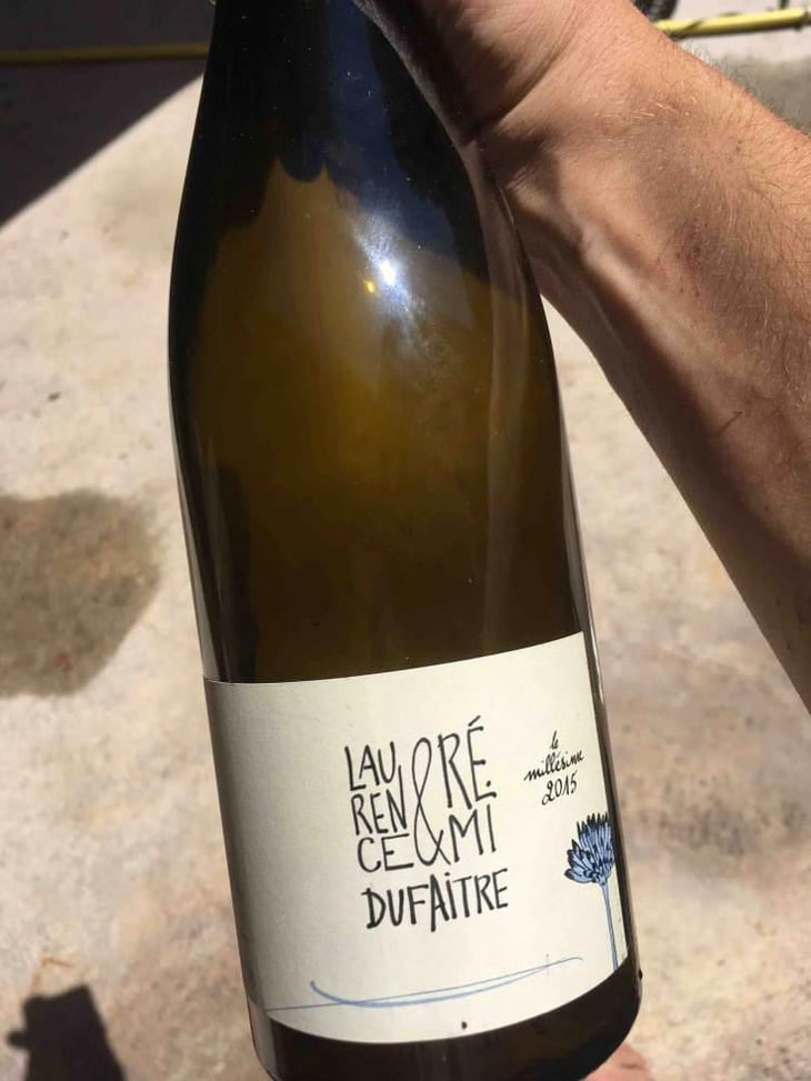 Côte de Brouilly - Domaine de Botheland - Rémi Dufaitre & Laurence Liatard 