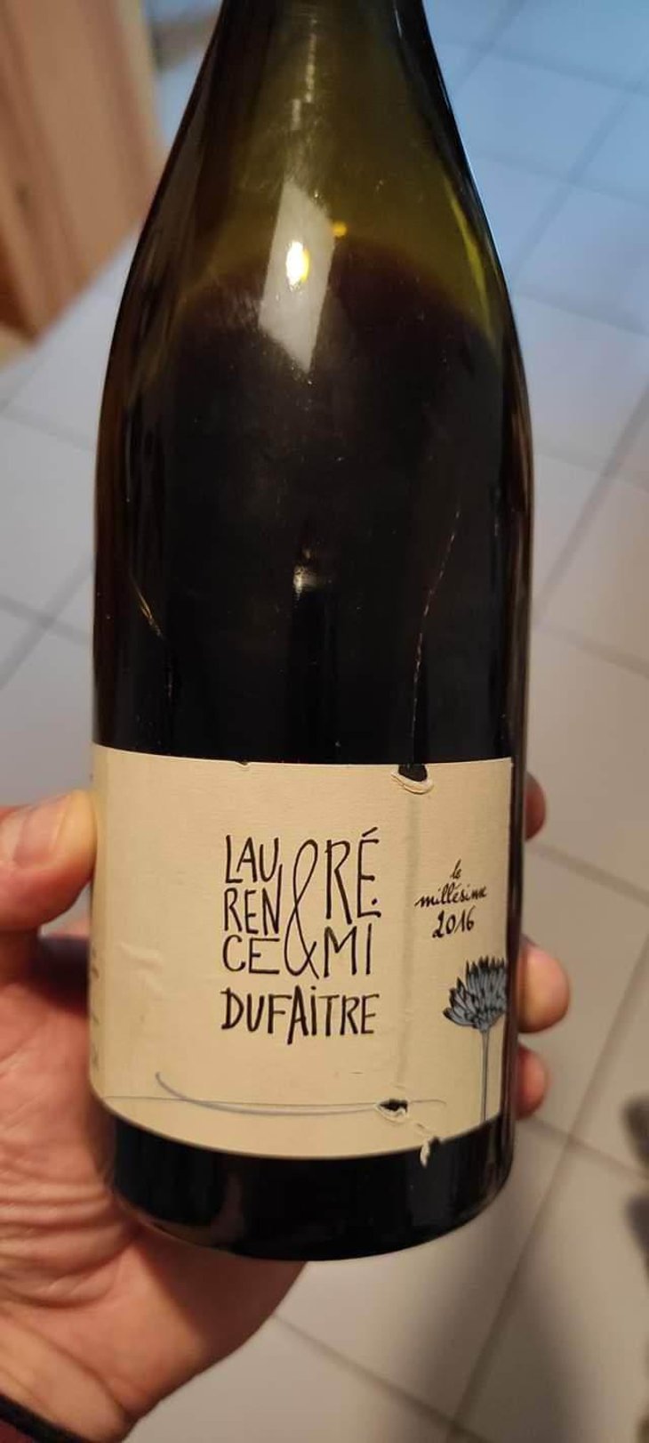 Côte de Brouilly - Domaine de Botheland - Rémi Dufaitre & Laurence Liatard 