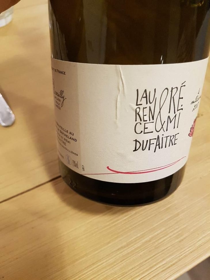 Côte de Brouilly - Domaine de Botheland - Rémi Dufaitre & Laurence Liatard 