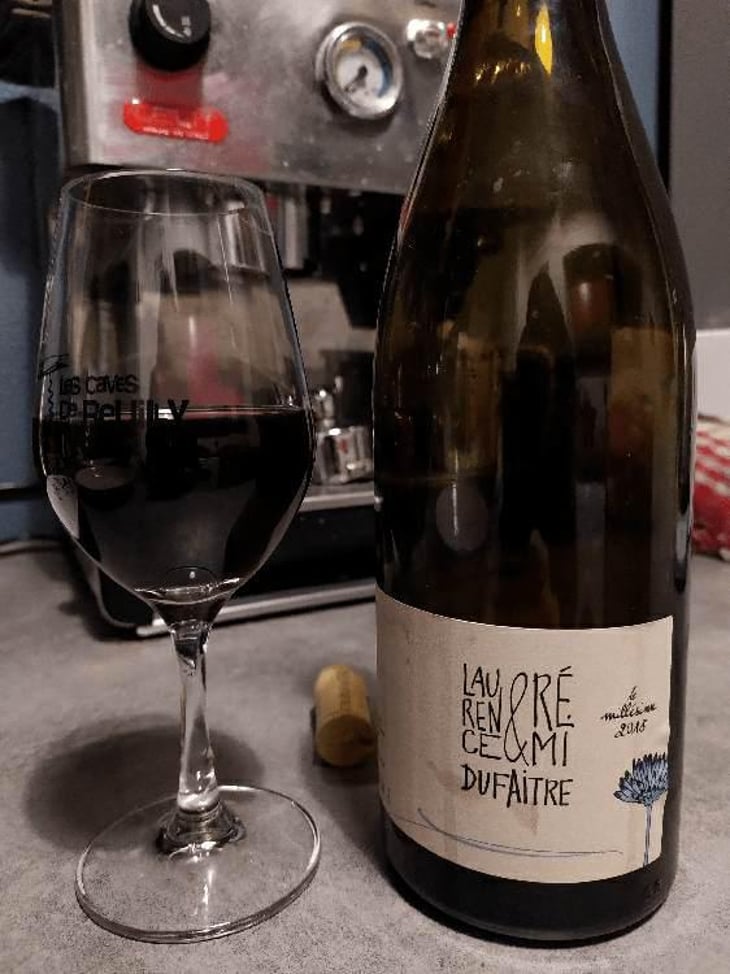 Côte de Brouilly - Domaine de Botheland - Rémi Dufaitre & Laurence Liatard 
