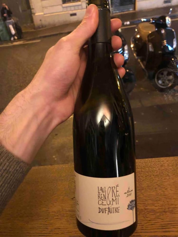 Côte de Brouilly - Domaine de Botheland - Rémi Dufaitre & Laurence Liatard 