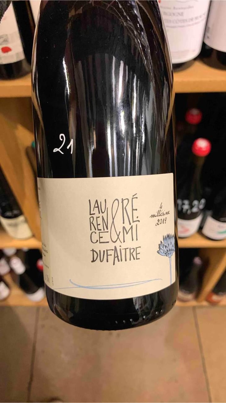Côte de Brouilly - Domaine de Botheland - Rémi Dufaitre & Laurence Liatard 