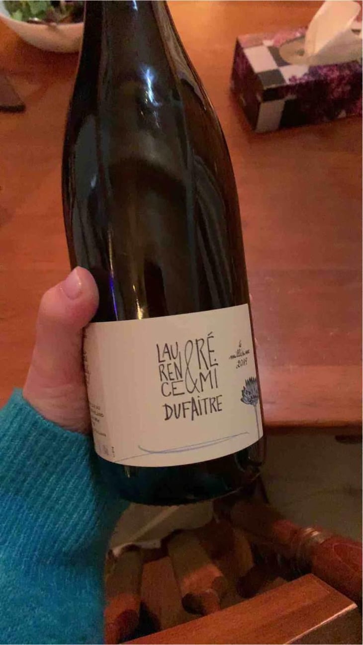 Côte de Brouilly - Domaine de Botheland - Rémi Dufaitre & Laurence Liatard 