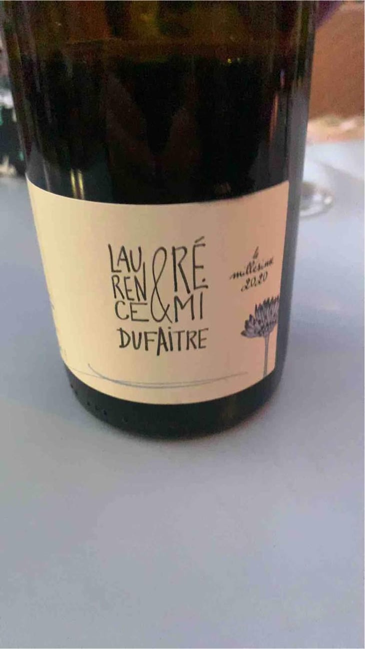 Côte de Brouilly - Domaine de Botheland - Rémi Dufaitre & Laurence Liatard 
