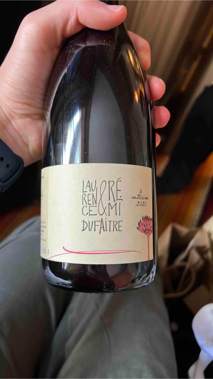 Côte de Brouilly - Domaine de Botheland - Rémi Dufaitre & Laurence Liatard 