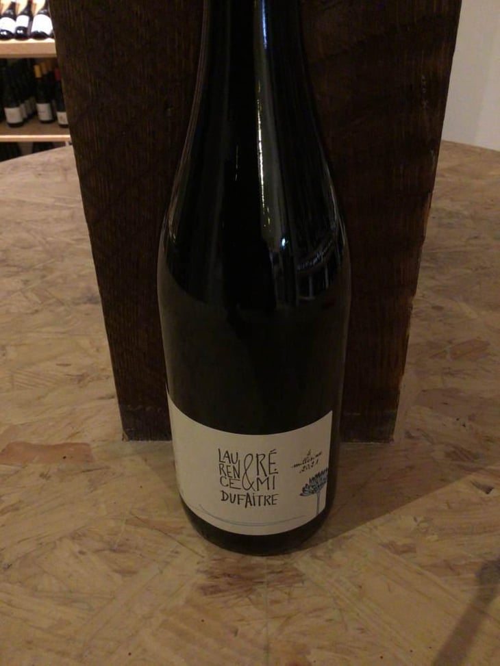 Côte de Brouilly - Domaine de Botheland - Rémi Dufaitre & Laurence Liatard 