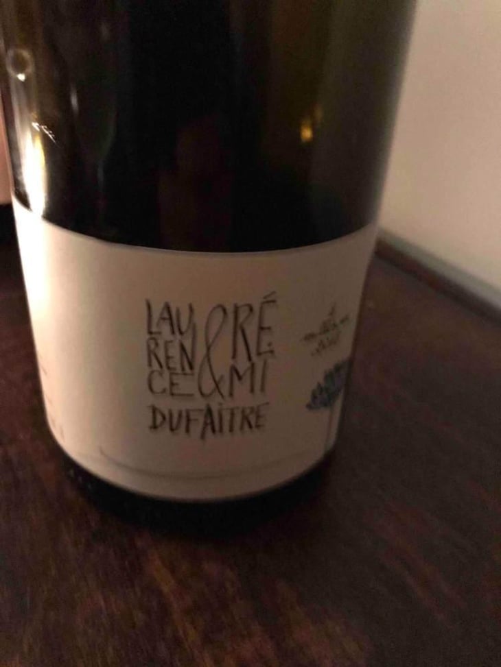 Côte de Brouilly - Domaine de Botheland - Rémi Dufaitre & Laurence Liatard 