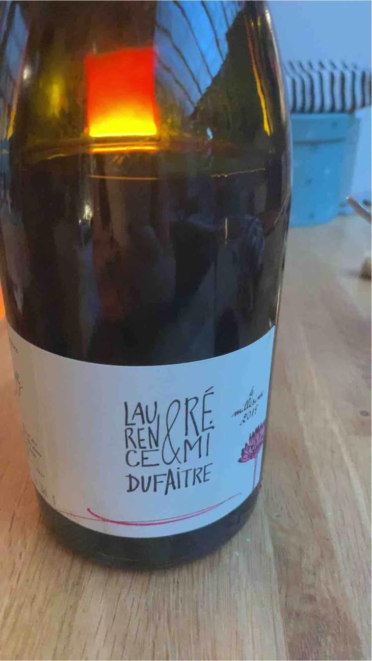 Côte de Brouilly - Domaine de Botheland - Rémi Dufaitre & Laurence Liatard 