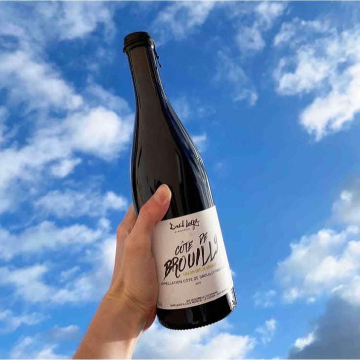 Côte de Brouilly - David Large - Célia Rostand et David Large -2020