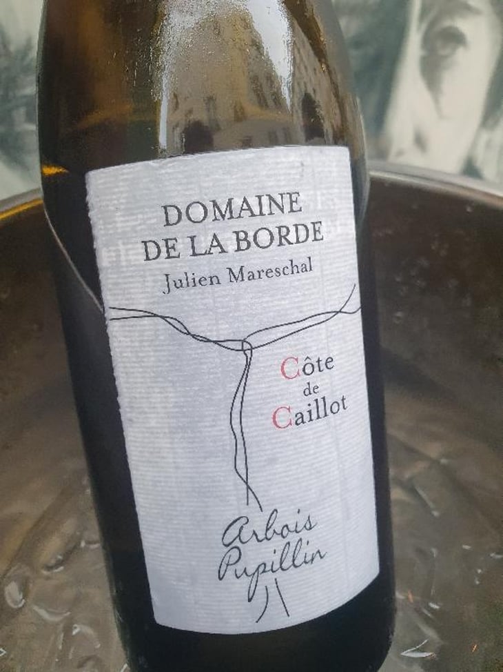 Côte de Caillot - Domaine de la Borde - Julien Mareschal 