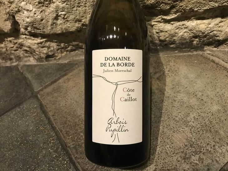 Côte de Caillot - Domaine de la Borde - Julien Mareschal 
