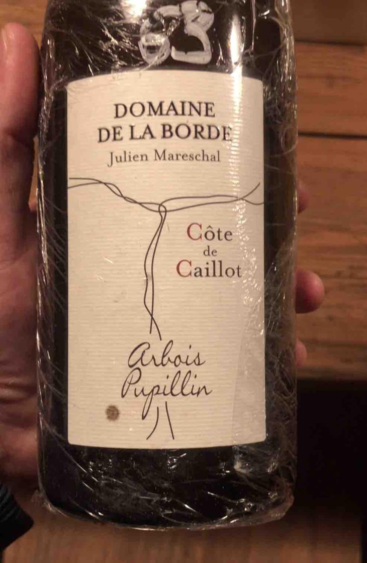 Côte de Caillot - Domaine de la Borde - Julien Mareschal 