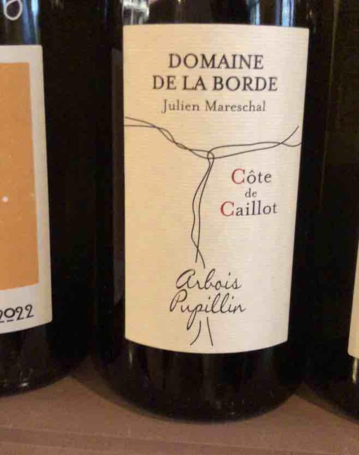 Côte de Caillot - Domaine de la Borde - Julien Mareschal 