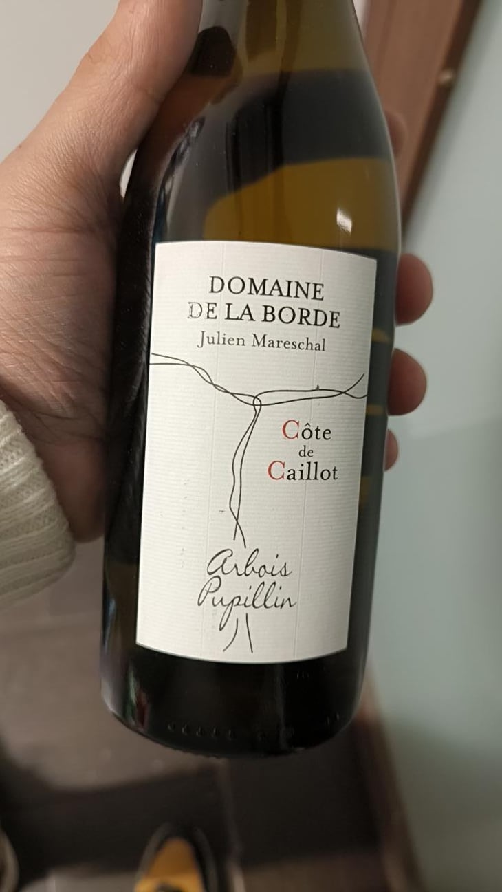 Côte de Caillot - Domaine de la Borde - Julien Mareschal 