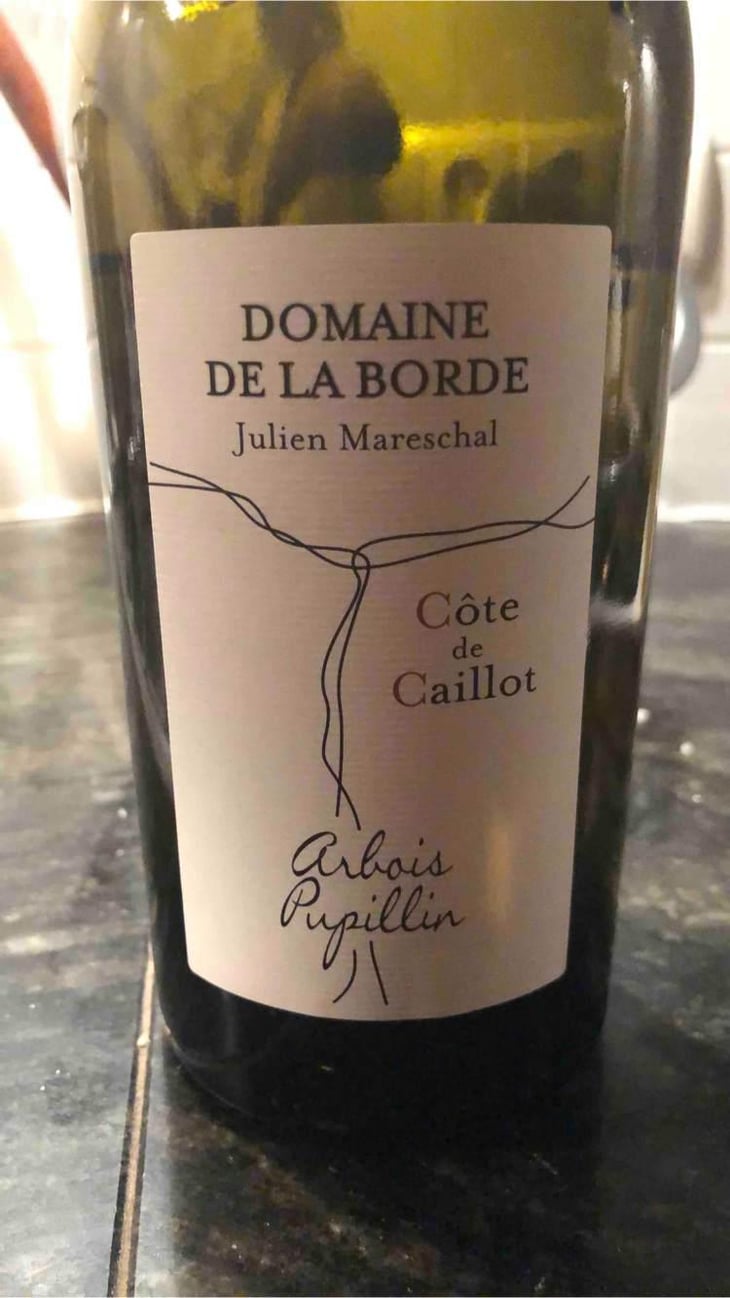 Côte de Caillot - Domaine de la Borde - Julien Mareschal 