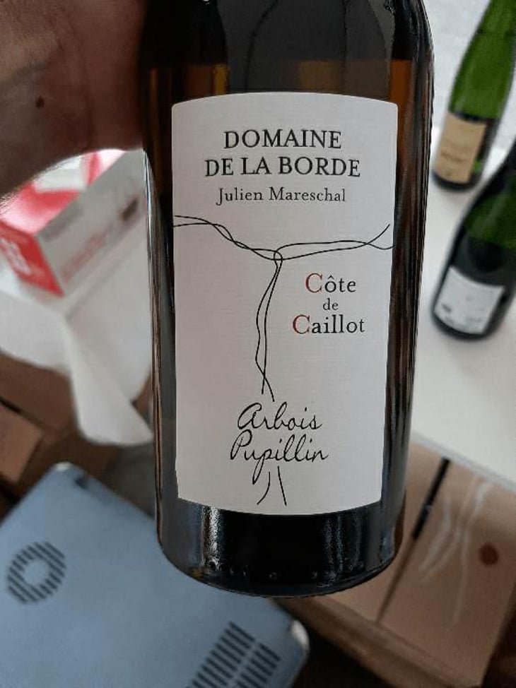 Côte de Caillot - Domaine de la Borde - Julien Mareschal 