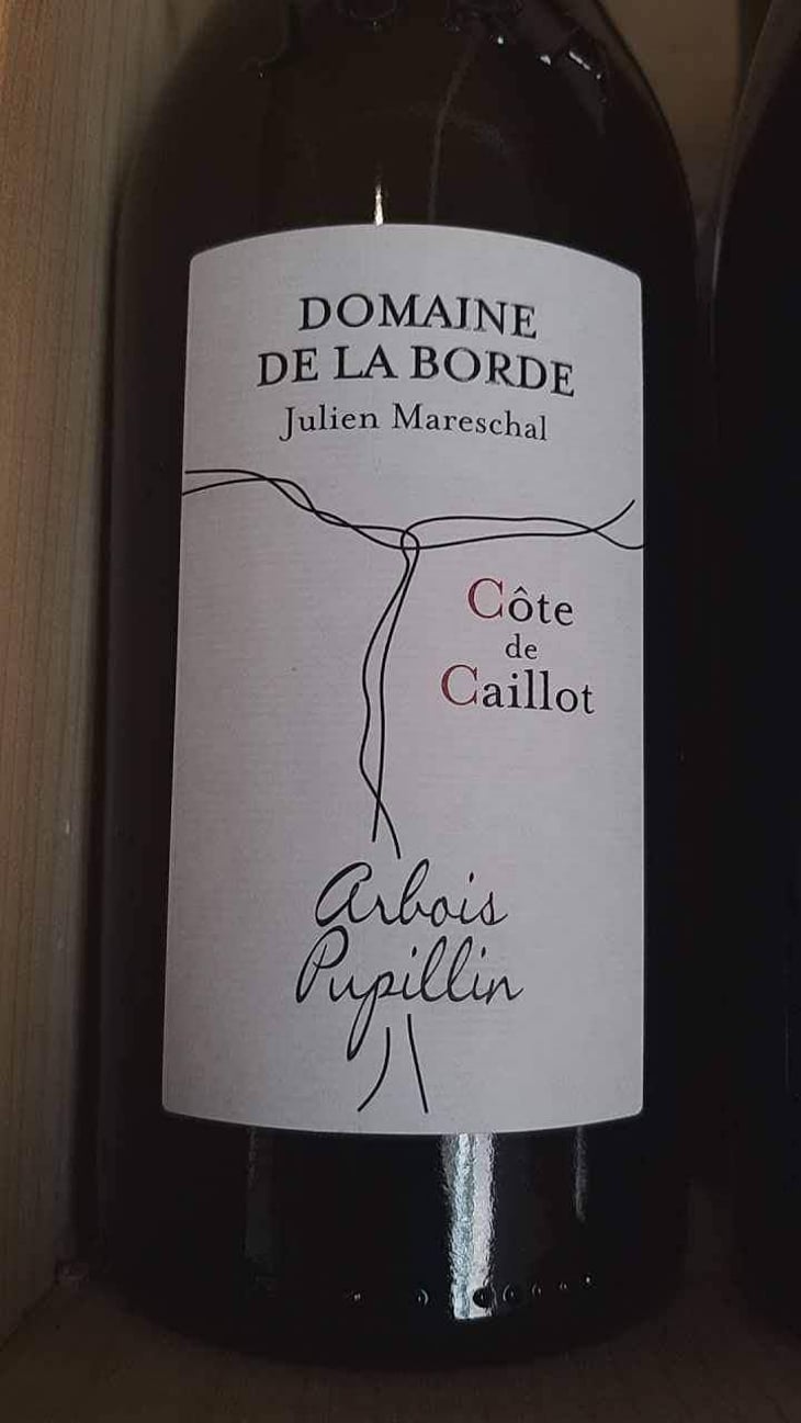 Côte de Caillot - Domaine de la Borde - Julien Mareschal 