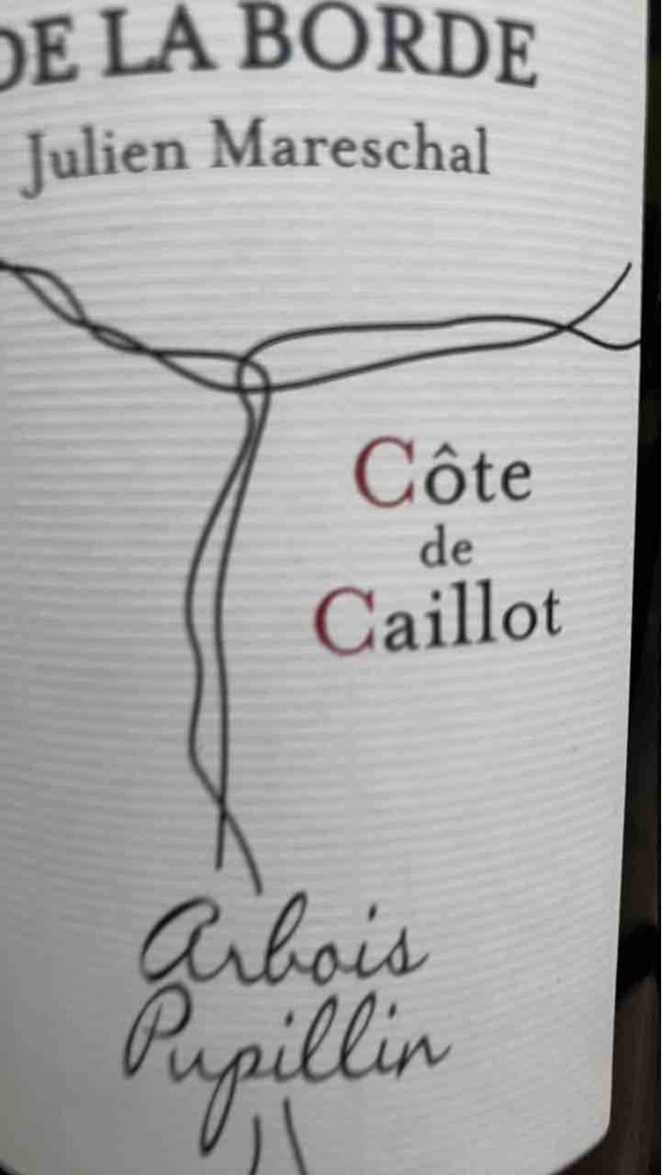 Côte de Caillot - Domaine de la Borde - Julien Mareschal 