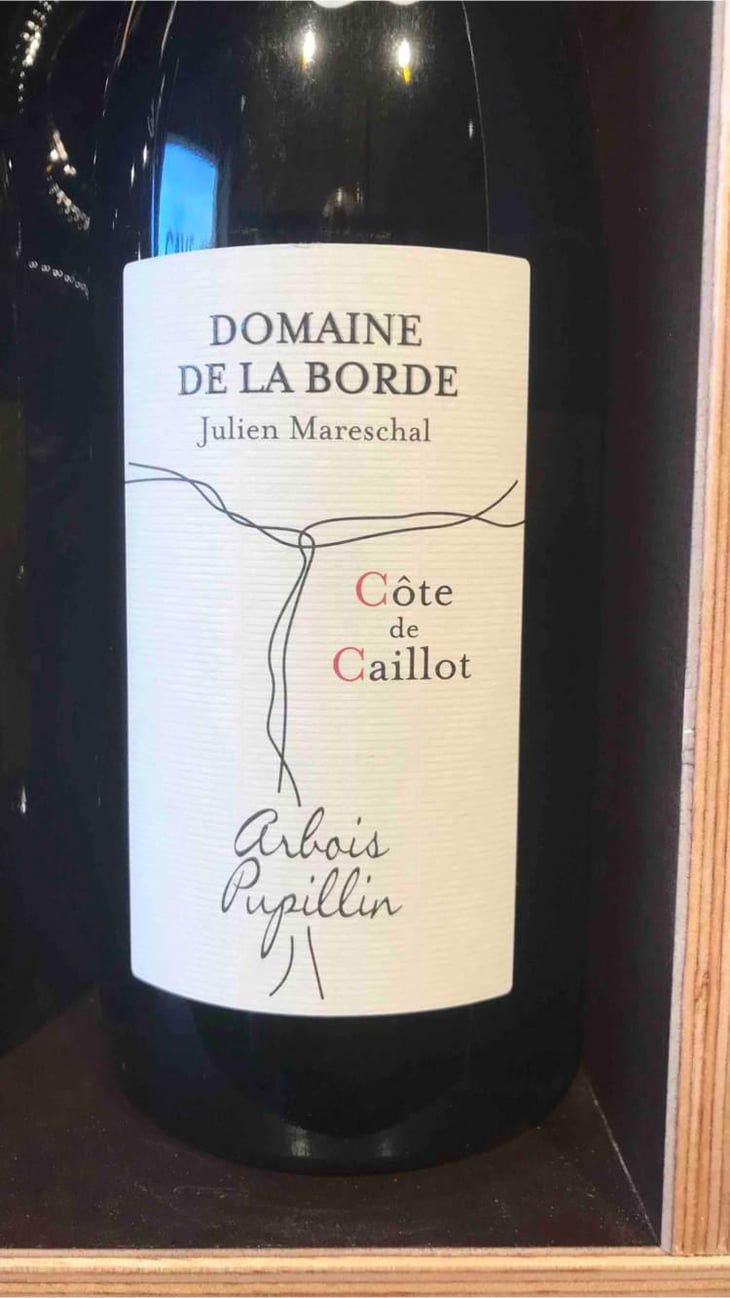 Côte de Caillot - Domaine de la Borde - Julien Mareschal 