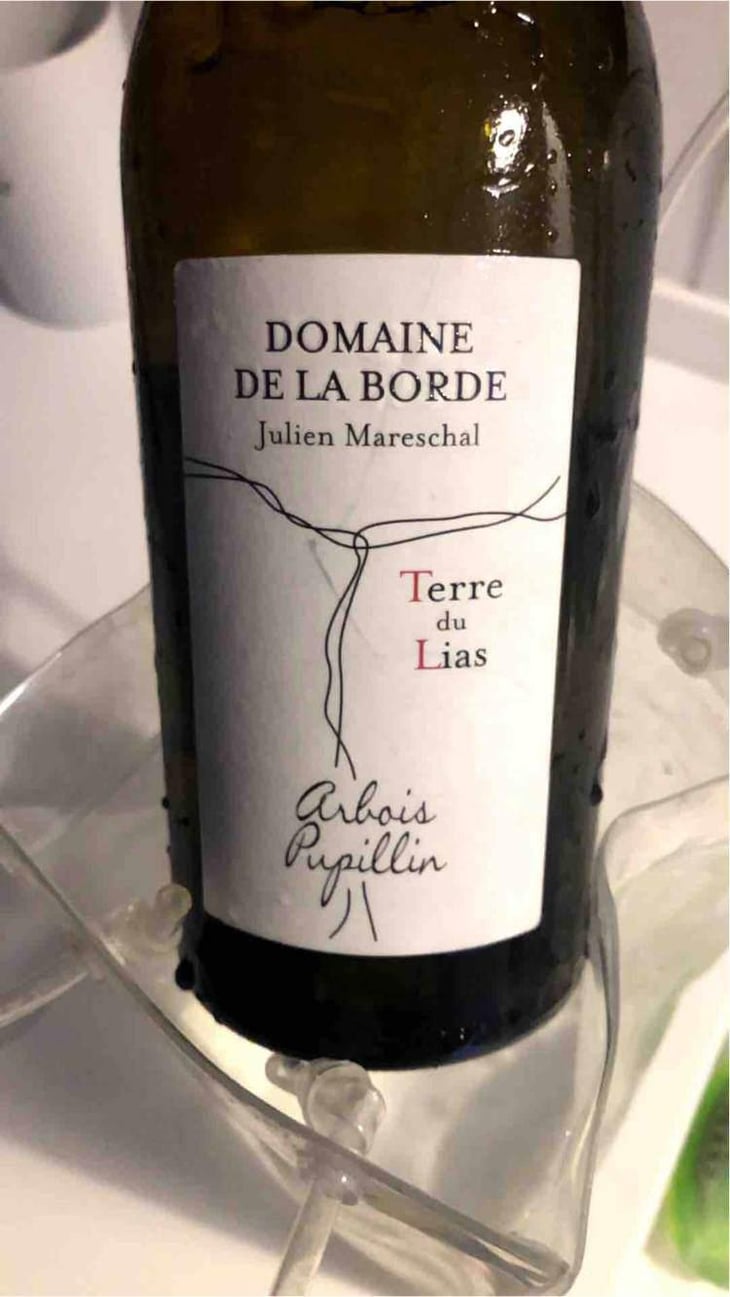 Côte de Caillot - Domaine de la Borde - Julien Mareschal 
