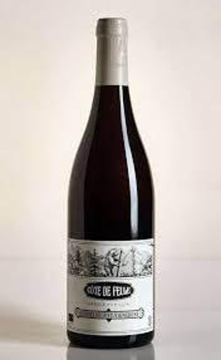 Côte De Feule - Domaine Hughes-Beguet - Caroline & Patrice Hughes Béguet 